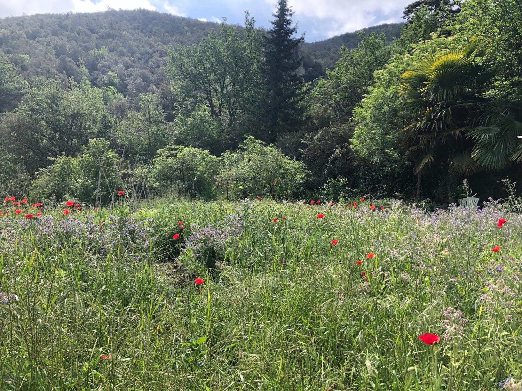 El Refugio Βίλα Reynès Εξωτερικό φωτογραφία