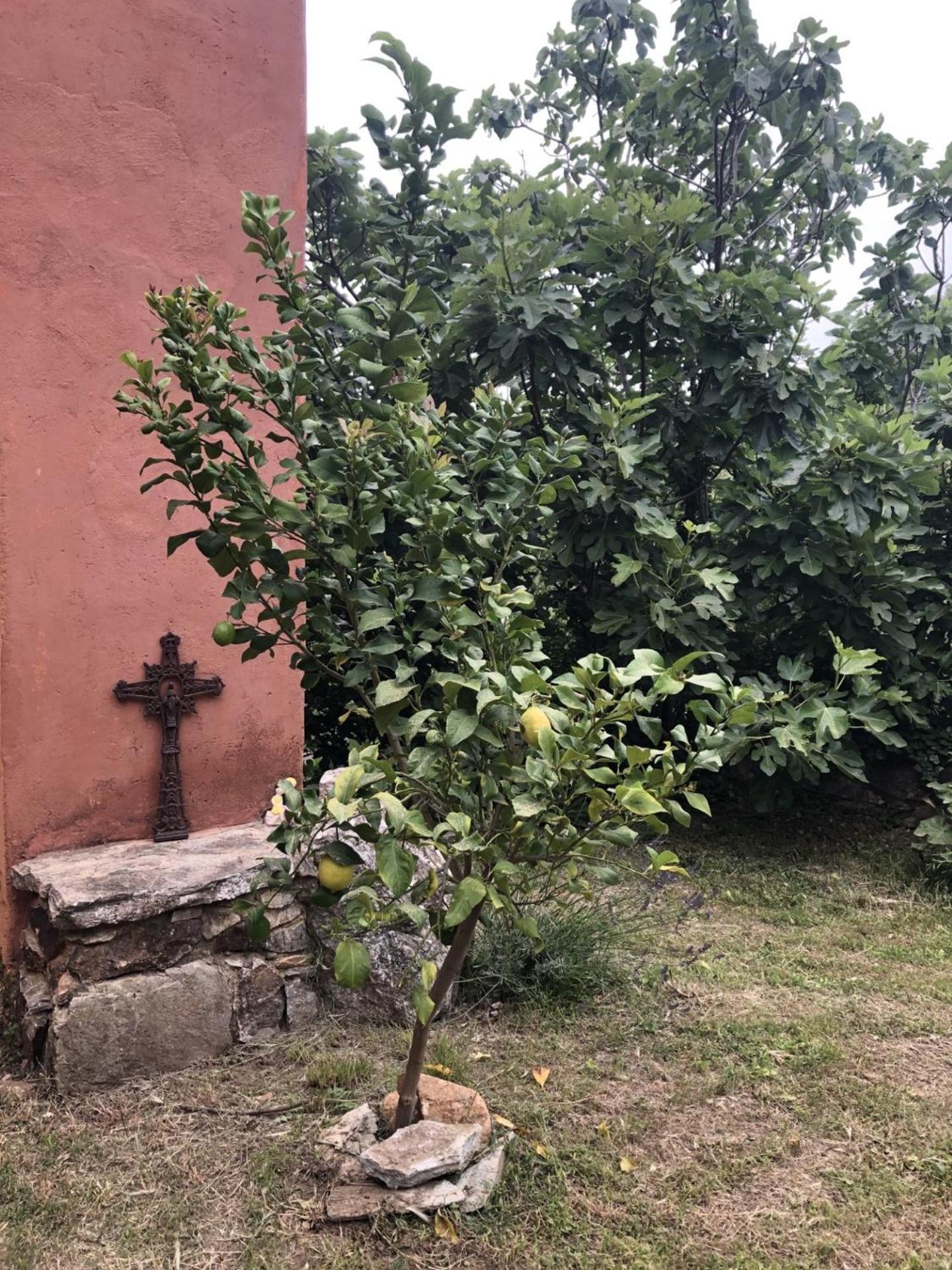 El Refugio Βίλα Reynès Εξωτερικό φωτογραφία